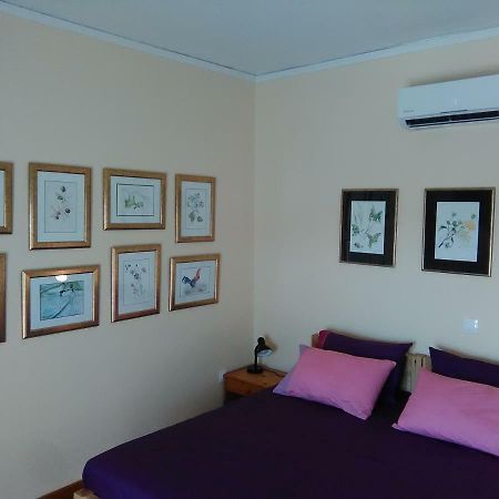 شقة Mia'S Atelier, Balcony To Acropolis أثينا المظهر الخارجي الصورة